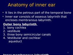Anatomy of inner ear
• It lies in the petrous part of the temporal bone
• Inner ear consists of osseous labyrinth that 
enclo