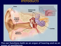 Introducti
on
The ear functions both as an organ of hearing and as an 
organ of equilibrium
2

