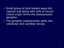 • Small group of cells breaks away otic 
capsule and along with cells of neural 
creast origin  forms the statoacoustic  
gan