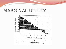 Consumer Behavior and Utility Maximization | PDF | Utility | Marginal ...