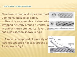 Cable Suspended Roof Structures Guide | PDF | Equipment | Manufactured ...