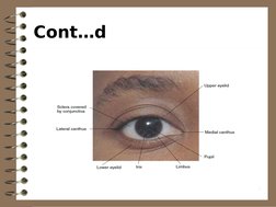 Comprehensive Eye Examination Guide | PDF | Visual Acuity | Human Eye