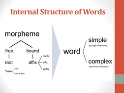 Internal Structure of Words 
 
 
 
