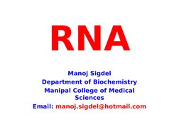 RNA
Manoj Sigdel
Department of Biochemistry
Manipal College of Medical 
Sciences
Email: manoj.sigdel@hotmail.com
