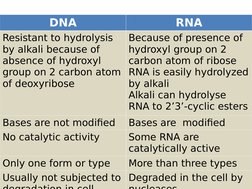 DNA
RNA
Resistant to hydrolysis 
by alkali because of
absence of hydroxyl 
group on 2 carbon atom
of deoxyribose
Because of p
