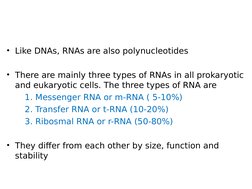 • Like DNAs, RNAs are also polynucleotides
• There are mainly three types of RNAs in all prokaryotic 
and eukaryotic cells. T