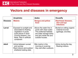 International Federation
of Red Cross and Red Crescent Societies
2
Vectors and diseases in emergency
Anopheles
Aedes
Housefly