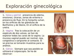 Exploración ginecológica
1.- Vulva y periné:  presencia de edema, 
erosiones, úlceras, zonas de eritema o 
presencia de flujo