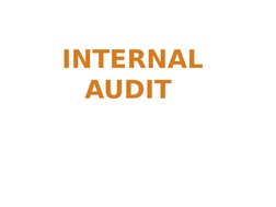 INTERNAL 
AUDIT 
