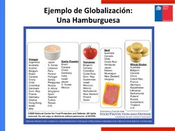 Ejemplo	  de	  Globalización:	  
Una	  Hamburguesa	  
