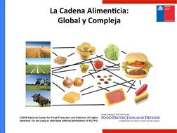 La	  Cadena	  AlimenQcia:	  
Global	  y	  Compleja	  
