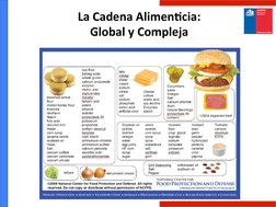 La	  Cadena	  AlimenQcia:	  
Global	  y	  Compleja	  
