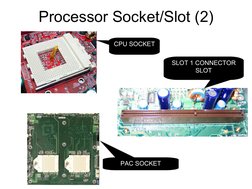 Processor Socket/Slot (2)
CPU SOCKET
SLOT 1 CONNECTOR 
SLOT
PAC SOCKET

