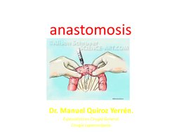 anastomosis (http://www.google.com.pe/url?sa=i&rct=j&q=&esrc=s&source=images&cd=&cad=rja&uact=8&ved=0CAcQjRw&url=http://www.s