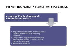 PRINCIPIOS PARA UNA ANSTOMOSIS EXITOSA 
 
