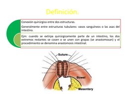 (http://www.google.com.pe/url?sa=i&rct=j&q=&esrc=s&source=images&cd=&cad=rja&uact=8&ved=0CAcQjRw&url=http://www.google.com.p