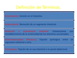 Definición de Términos. 
Enterostomía: Incisión en el intestino. 
Enterectomía: Remoción de un segmento intestinal. 
Resecció