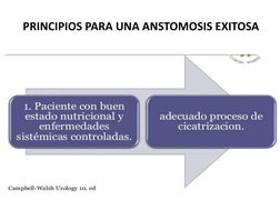 PRINCIPIOS PARA UNA ANSTOMOSIS EXITOSA 
 
