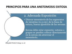PRINCIPIOS PARA UNA ANSTOMOSIS EXITOSA 
 
