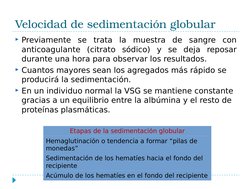 Velocidad de sedimentación globular
Previamente se trata la muestra de sangre con 
anticoagulante (citrato sódico) y se deja
