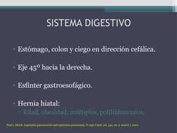 SISTEMA DIGESTIVO
• Estómago, colon y ciego en dirección cefálica. 
• Eje 45º hacia la derecha. 
• Esfínter gastroesofágico.