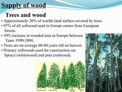 Trees and wood
• Approximately 20% of worlds land surface covered by trees.
• 97% of all softwood used in Europe comes from E