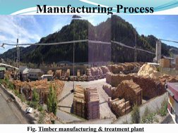 Manufacturing Process
Fig. Timber manufacturing & treatment plant

