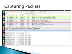 Introduction to Wireshark Basics | PDF | Network Packet | Computer Network