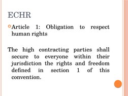 Overview of the ECHR Articles | PDF | European Convention On Human ...