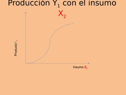 Insumo X2
ProductoY1
Producción Y1 con el insumo 
X2
