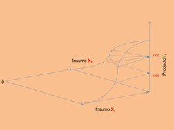 Insumo X2
Insumo X1
1000
1500
ProductoY1
0
