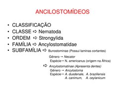 ANCILOSTOMÍDEOS
• CLASSIFICAÇÃO
• CLASSE Nematoda
• ORDEM  Strongylida
• FAMÍLIA Ancylostomatidae
• SUBFAMÍLIA Bunostomin