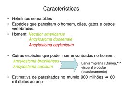 Características
• Helmintos nematóides
• Espécies que parasitam o homem, cães, gatos e outros
vertebrados.
• Homem: Necator a