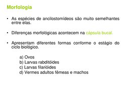 Morfologia
• As espécies de ancilostomídeos são muito semelhantes
entre elas.
• Diferenças morfológicas acontecem na cápsula