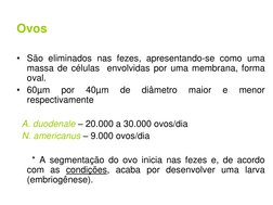 Ovos
• São eliminados nas fezes, apresentando-se como uma
massa de células
envolvidas por uma membrana, forma
oval.
• 60µm
po