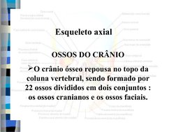 Esqueleto axial
OSSOS DO CRÂNIO
O crânio ósseo repousa no topo da 
coluna vertebral, sendo formado por 
22 ossos divididos e