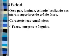 2 Parietal
-Osso par, laminar, estando localizado nas 
laterais superiores do crânio ósseo.
-Características Anatômicas
 Fac