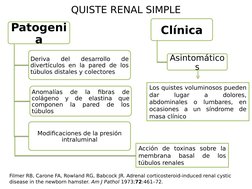 QUISTE RENAL SIMPLE
Filmer RB, Carone FA, Rowland RG, Babcock JR. Adrenal corticosteroid-induced renal cystic 
disease in the