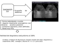 • Ecografía 
de 
abdomen
DIAGNOSTI
CO 
- Forma redondeada u ovoide.
- Aspecto totalmente anecogénico con 
refuerzo     acústi