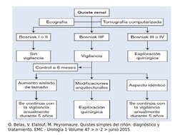 O. Belas, V. Elalouf, M. Peyromaure. Quistes simples del riñón: diagnóstico y 
tratamiento. EMC - Urología 1 Volume 47 > n◦2