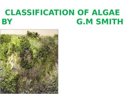 Smith Classification G.M. Smith's Algae Classification Guide | PDF | Science & Mathematics