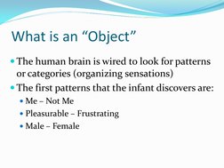 What is an “Object” 
The human brain is wired to look for patterns 
or categories (organizing sensations) 
The first patter