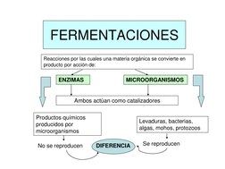 FERMENTACIONES
ENZIMAS
MICROORGANISMOS
Ambos actúan como catalizadores
Reacciones por las cuales una materia orgánica se conv