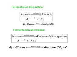 R
A
oducto
Sustrato
E
Enzima





Pr
2
CO
Alcohol
Glucosa
 :
Ej





Zimasa
C
R
A
C










ismo
Mi