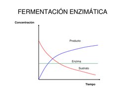 FERMENTACIÓN ENZIMÁTICA
Concentración
Enzima
Sustrato
Tiempo
Producto
