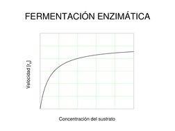 FERMENTACIÓN ENZIMÁTICA
Velocidad [rR]
Concentración del sustrato
