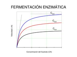 CE01
CE02
CE03
 
Velocidad (-rA)
Concentración del Sustrato (CA)
FERMENTACIÓN ENZIMÁTICA

