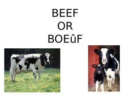 BEEF
OR
BOEûF
