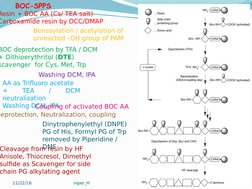 tBoc and Fmoc Protocols in Peptide Synthesis | PDF | Chemical Reactions ...