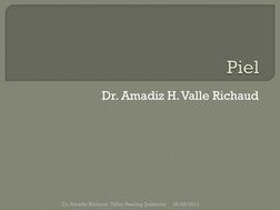 Dr. Amadiz H. Valle Richaud
06/08/2011
Dr. Amadiz Richaud- Taller Peeling Químicos
